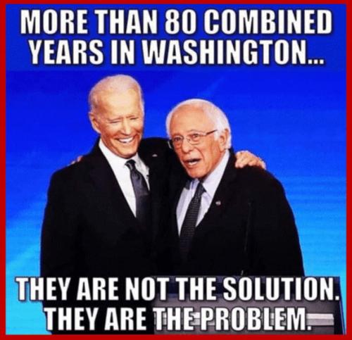 More than 80 combined years in Washington - Biden and Sanders - they are the problem - meme