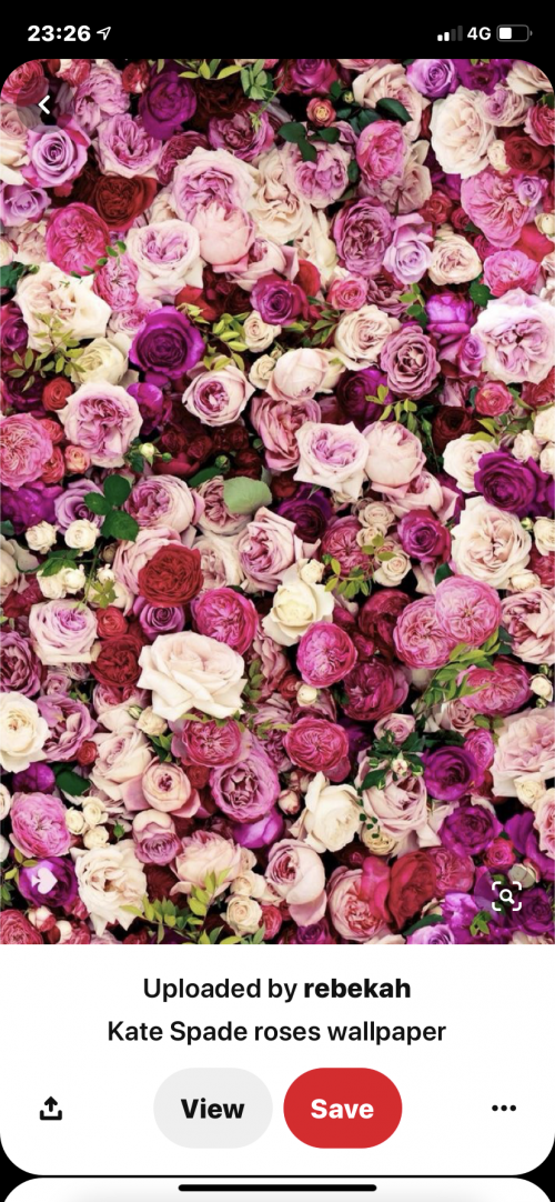 10:07:41 GMT+1100 (AEDT).image