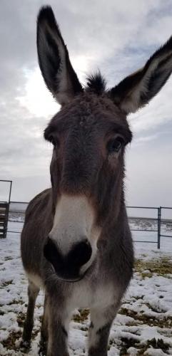 07:56:24 GMT-0800 (PST).image