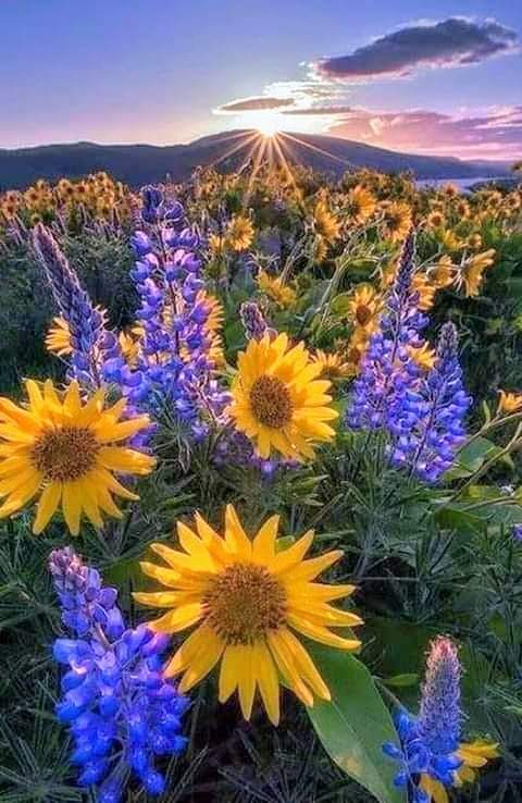 FB_IMG_1610637878772