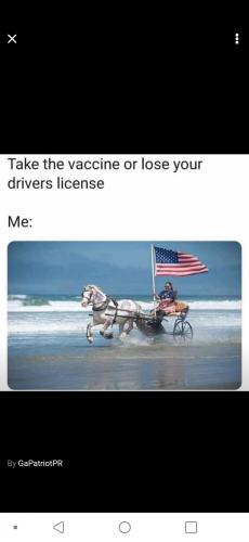 136688259_901550587253397_1497326269326350784_n