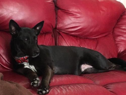 10:15:39 GMT-0600 (CST).image