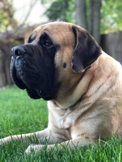 06:43:14 GMT-0600 (CST)