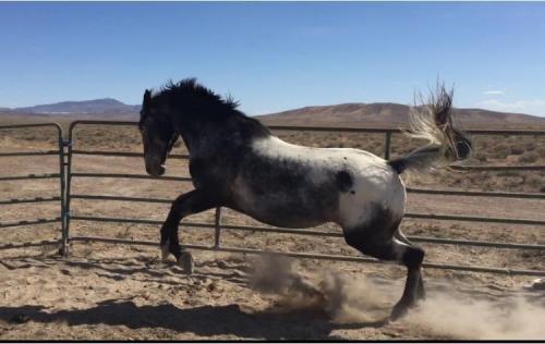 19:48:02 GMT-0800 (PST).image