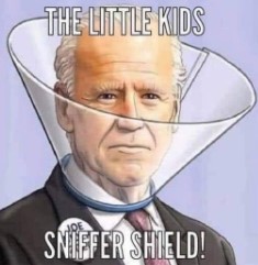 BIDEN8