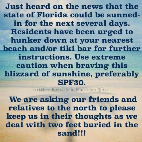 11:49:55 GMT-0500 (EST)