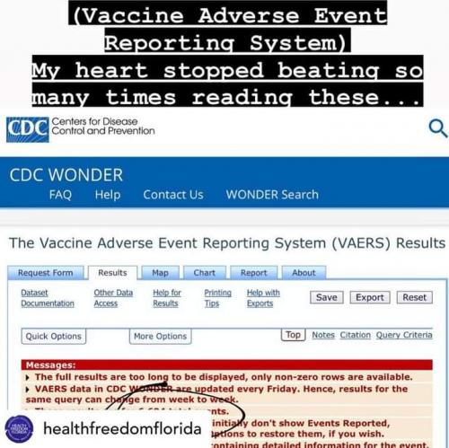 FB_IMG_1611989464799