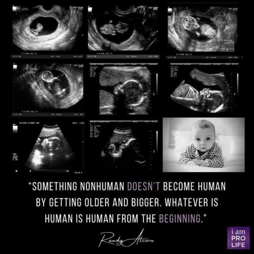 06:54:32 GMT-0500 (EST)