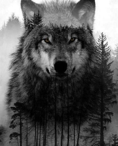 133781674_226687439025290_4795077663667764829_n