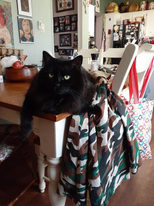 00:24:56 GMT-0500 (EST)