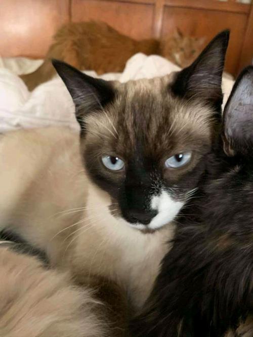 18:59:15 GMT+0100 (WAT)