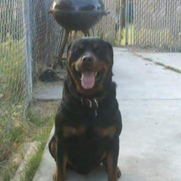 FB_IMG_1599112201754