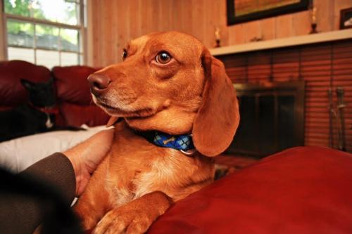 19:28:02 GMT-0600 (CST).image