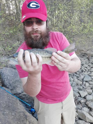 12:05:07 GMT-0500 (EST)