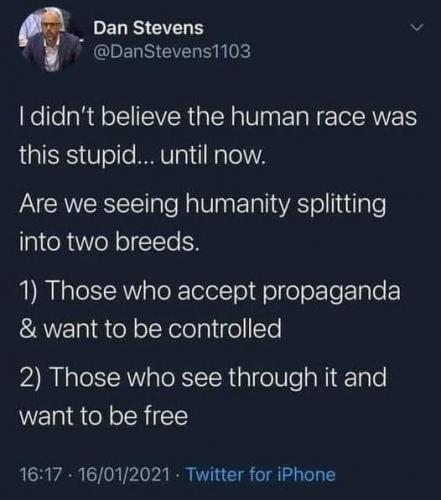 141284168_3592757407446522_744633141503154106_n