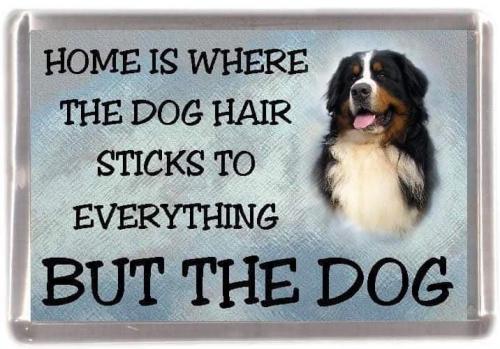 09:13:10 GMT+0100 (CET)