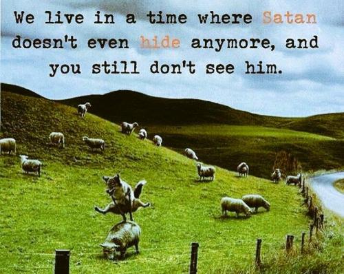 50005802_2362557833755806_6035395680514605056_n