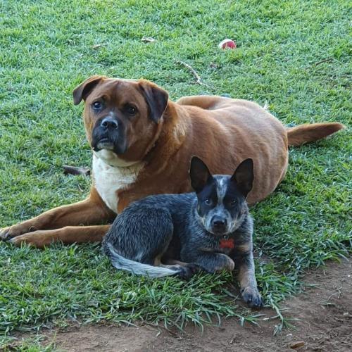 14:54:00 GMT+1100 (AEDT)