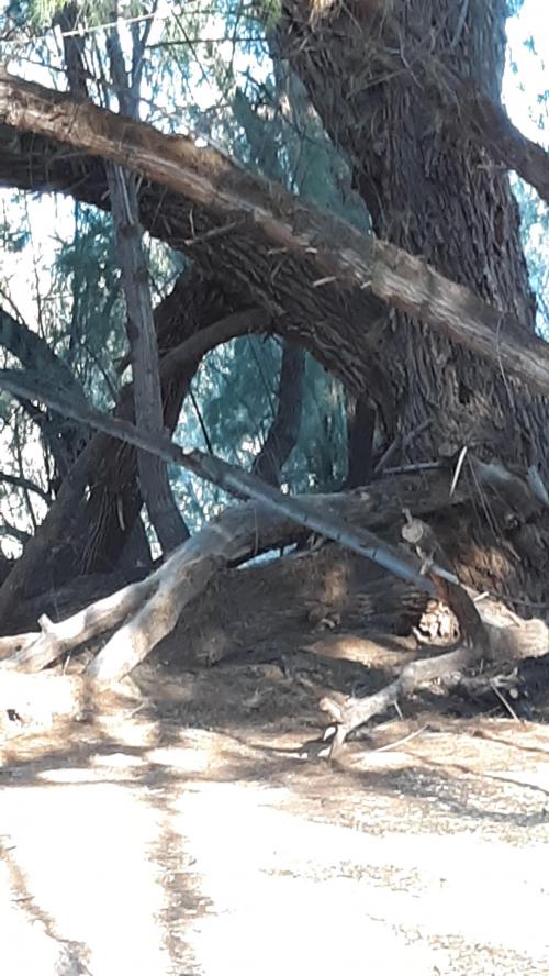 06:33:45 GMT-0700 (MST)