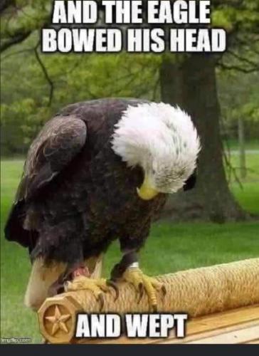 19:02:01 GMT-0600 (CST)