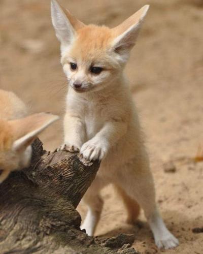 08:20:11 GMT-0600 (CST)