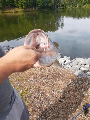 12:22:41 GMT-0500 (EST)