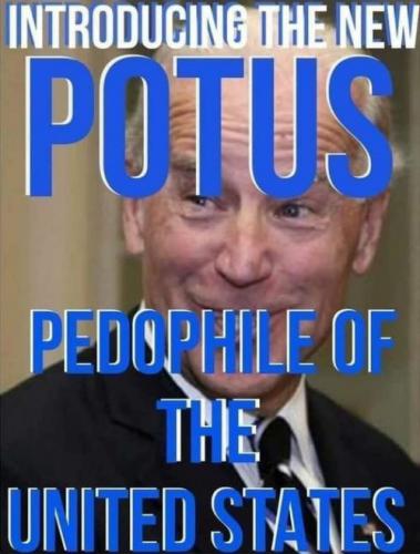 biden304