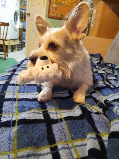 15:22:30 GMT-0500 (EST)