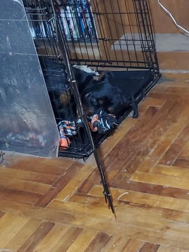 08:45:30 GMT-0800 (PST)