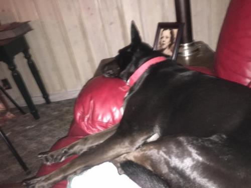 10:07:24 GMT-0600 (CST).image