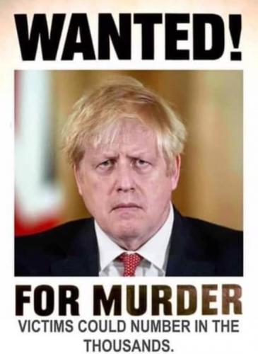 BOJO4