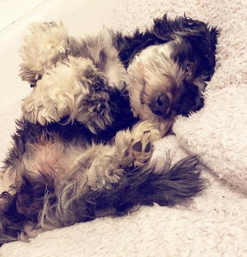 08:15:06 GMT+0100 (WAT)