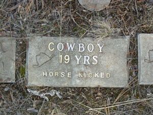 84536edf254da54b7a46a61945d2bc2b