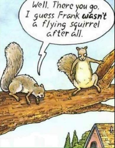 142703613_746866925959388_4887934466080258706_n