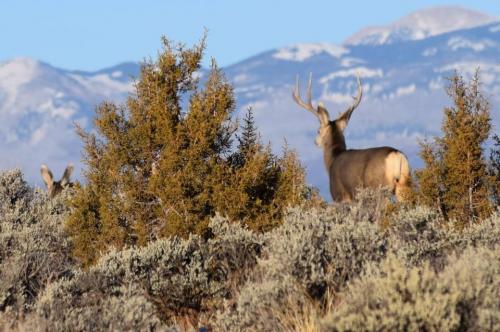 F8D9A499-0E94-4974-9EFA-E3DACE2D50EA