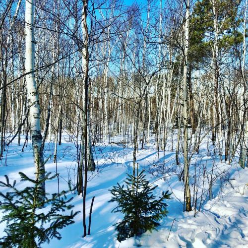 11:33:26 GMT-0500 (EST).image