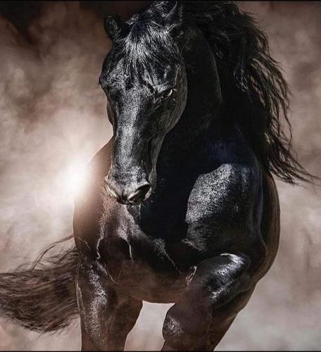 22:47:49 GMT-0600 (CST)