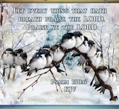 09:46:28 GMT-0600 (CST)