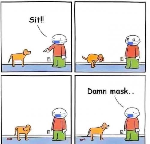 damn mask