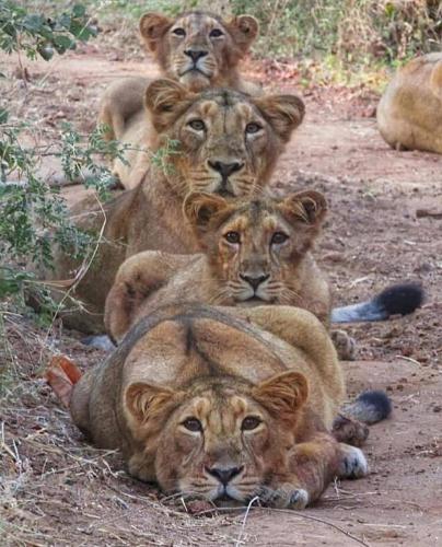 142361510_110307687697269_4020014765021583514_o