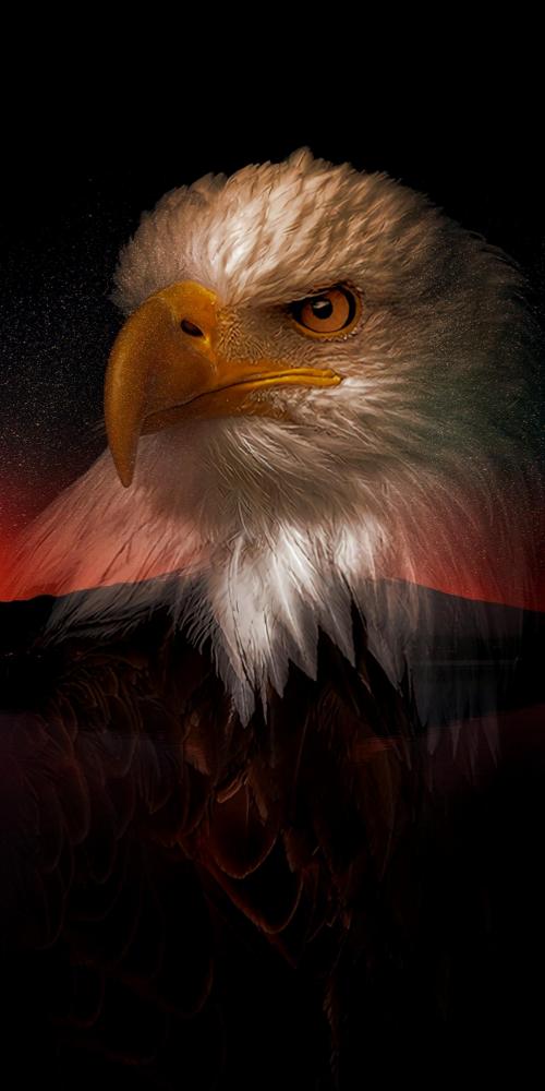 10:45:36 GMT-0700 (MST)