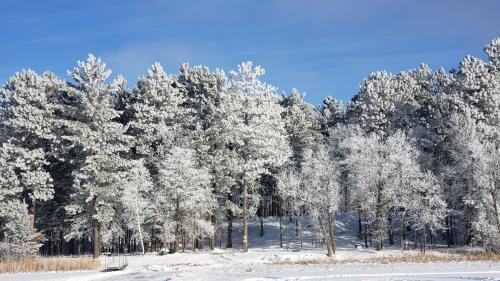 22:58:05 GMT-0600 (CST)