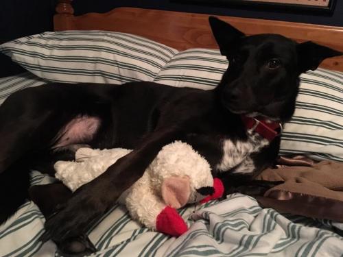 10:14:47 GMT-0600 (CST).image