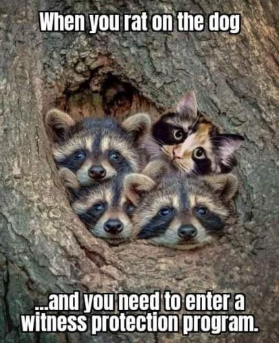 22:12:40 GMT-0500 (EST)