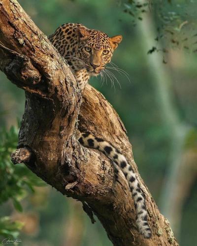 138843949_1774954156004122_5043799213891529012_o