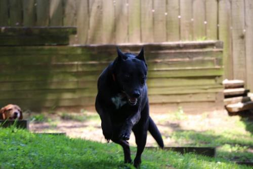 09:50:55 GMT-0600 (CST).image