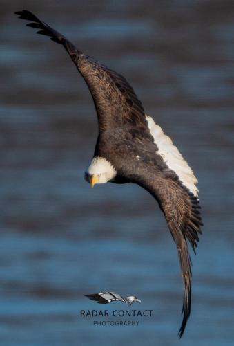 144223992_1330664810622485_8674915329499113620_o