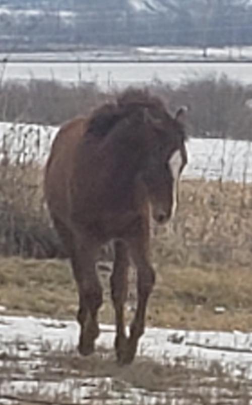 03:17:48 GMT-0600 (CST)