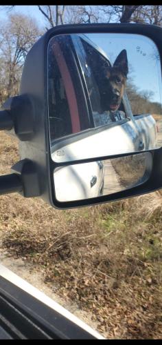 15:05:44 GMT-0600 (CST)