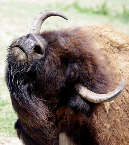 140304216_10159022900237594_38798073492291329_o